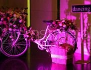 wedding-props-cycle
