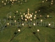 wedding-props-garden-1