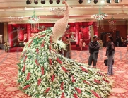 wedding-props-peacock